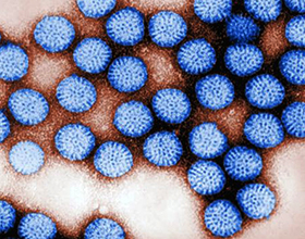 Возможные последствия ротавирусной инфекции